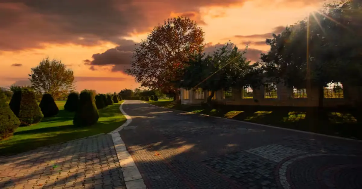 Paving the Way: Driveway and Pathway Design